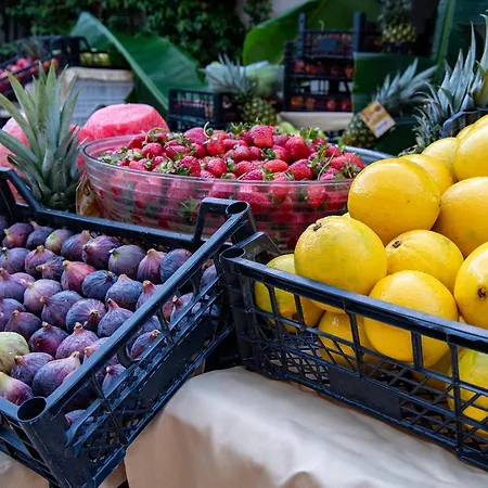 Hotel Viking Star 4*