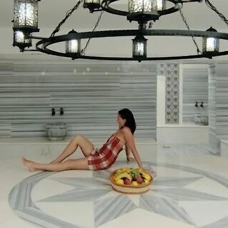 Viking Star 호텔 4*