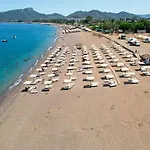 Viking Star Hotel